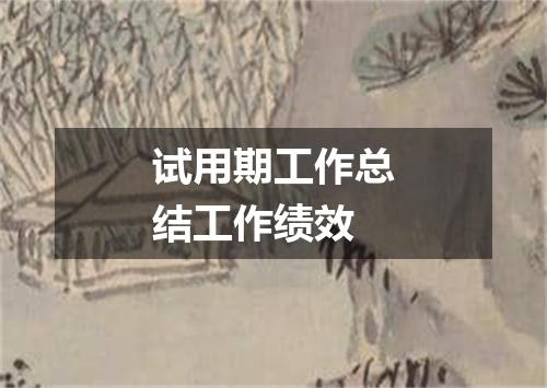 试用期工作总结工作绩效