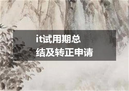 it试用期总结及转正申请