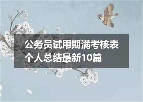 公务员试用期满考核表个人总结最新10篇