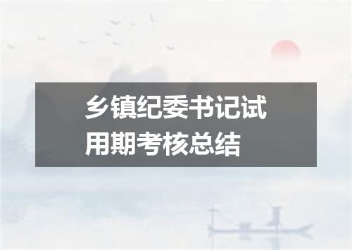 乡镇纪委书记试用期考核总结