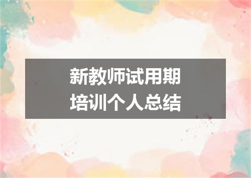 新教师试用期培训个人总结