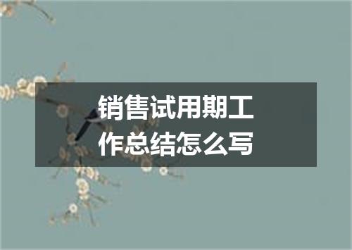 销售试用期工作总结怎么写