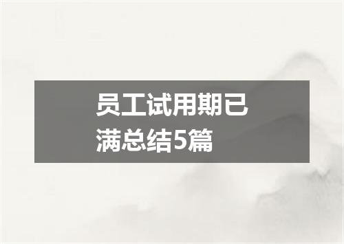 员工试用期已满总结5篇