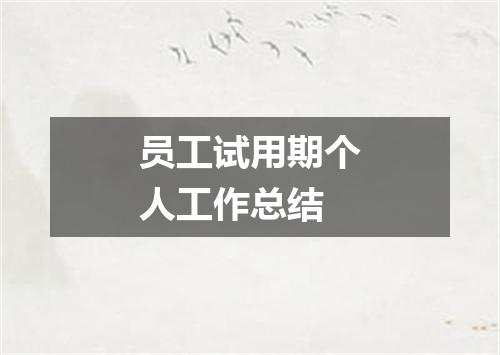 员工试用期个人工作总结