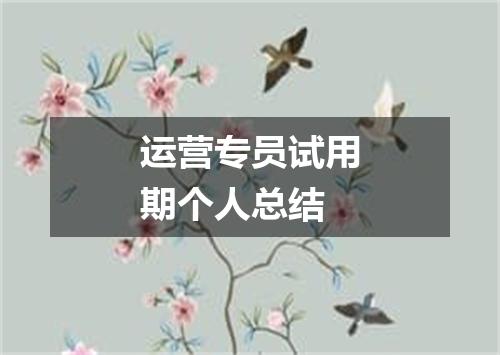 运营专员试用期个人总结