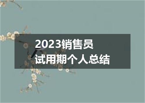 2023销售员试用期个人总结