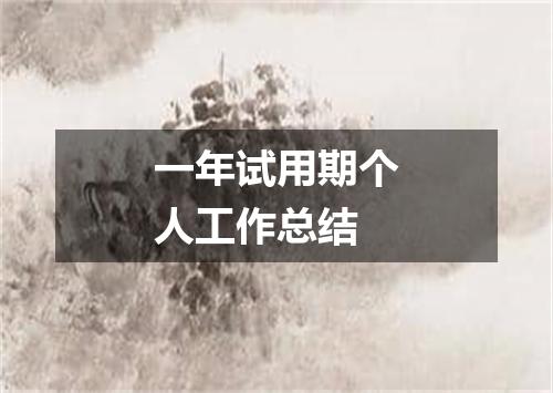 一年试用期个人工作总结