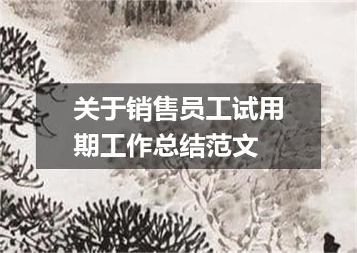 关于销售员工试用期工作总结范文
