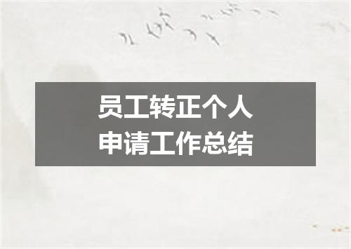 员工转正个人申请工作总结