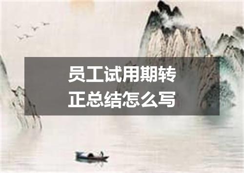 员工试用期转正总结怎么写