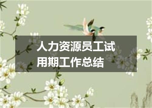 人力资源员工试用期工作总结