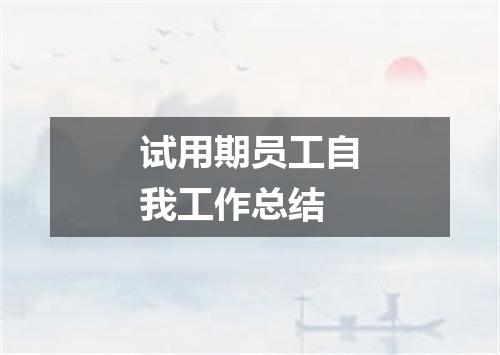 试用期员工自我工作总结