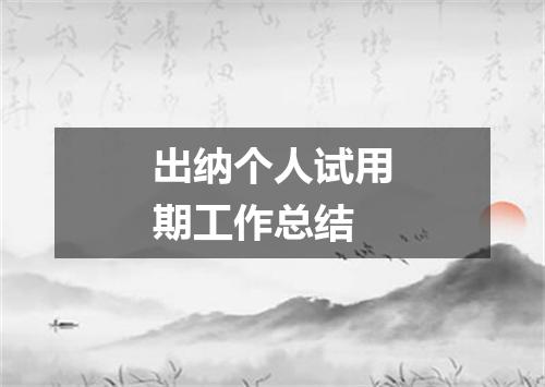 出纳个人试用期工作总结