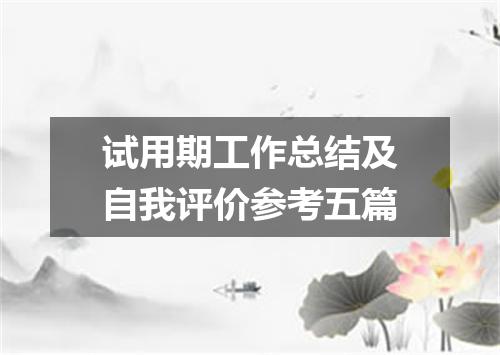 试用期工作总结及自我评价参考五篇