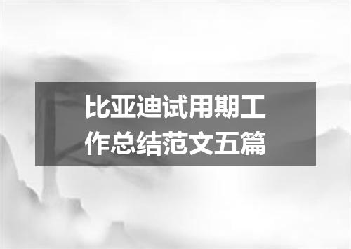 比亚迪试用期工作总结范文五篇