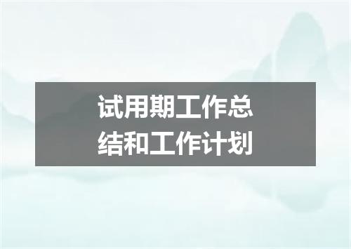 试用期工作总结和工作计划