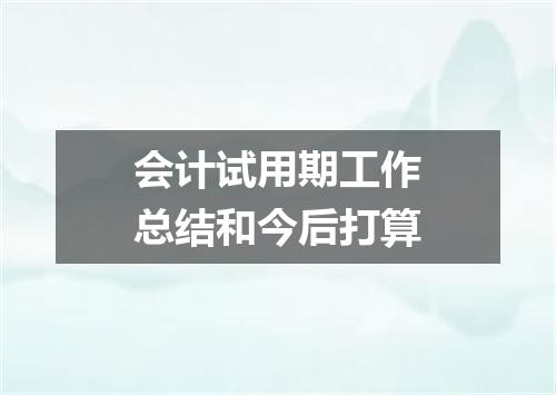 会计试用期工作总结和今后打算