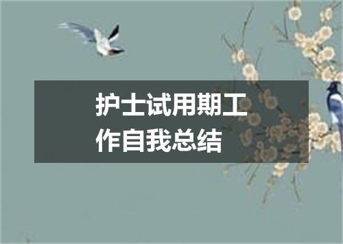 护士试用期工作自我总结