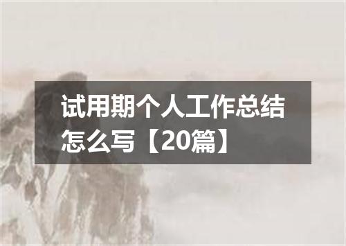 试用期个人工作总结怎么写【20篇】