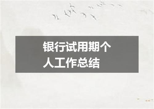 银行试用期个人工作总结