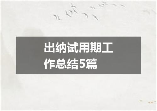 出纳试用期工作总结5篇