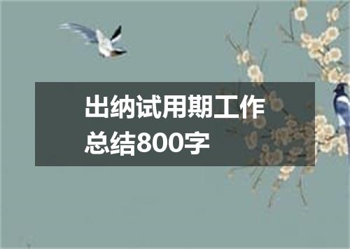 出纳试用期工作总结800字