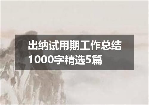 出纳试用期工作总结1000字精选5篇