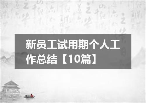 新员工试用期个人工作总结【10篇】