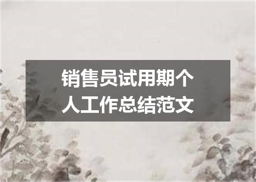销售员试用期个人工作总结范文