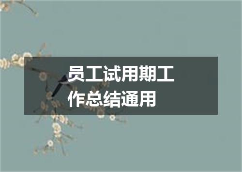 员工试用期工作总结通用