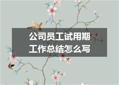 公司员工试用期工作总结怎么写