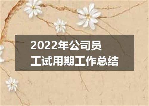 2022年公司员工试用期工作总结