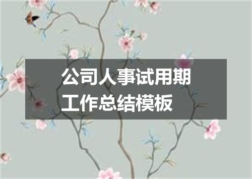 公司人事试用期工作总结模板