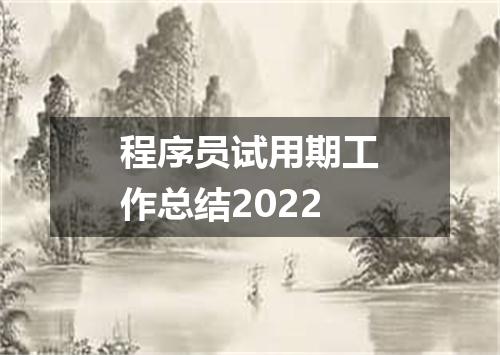 程序员试用期工作总结2022