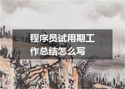 程序员试用期工作总结怎么写