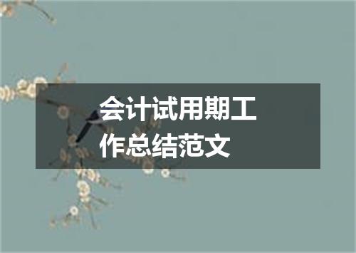 会计试用期工作总结范文
