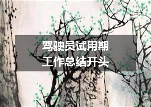 驾驶员试用期工作总结开头