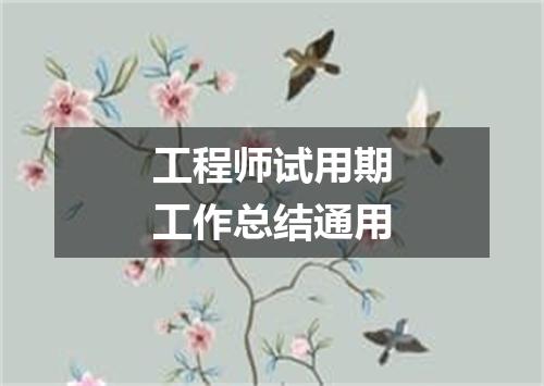 工程师试用期工作总结通用