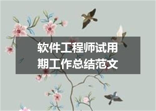 软件工程师试用期工作总结范文