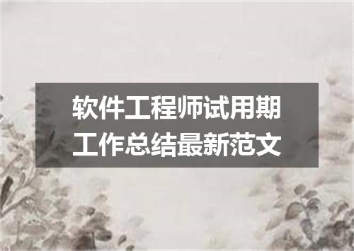 软件工程师试用期工作总结最新范文