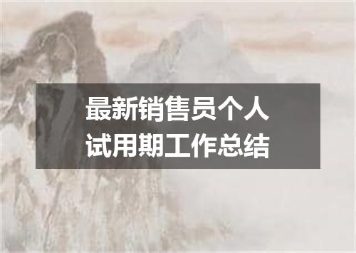 最新销售员个人试用期工作总结