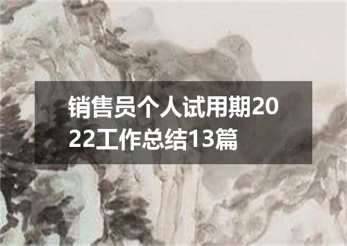 销售员个人试用期2022工作总结13篇