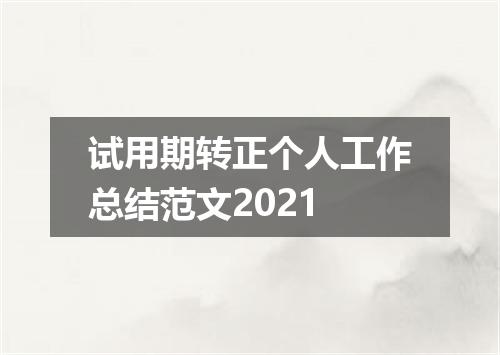试用期转正个人工作总结范文2021