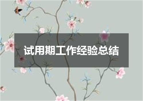 试用期工作经验总结