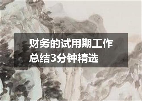 财务的试用期工作总结3分钟精选
