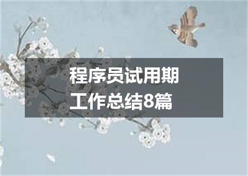 程序员试用期工作总结8篇