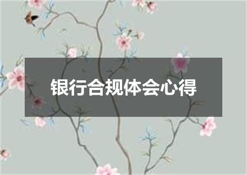 银行合规体会心得