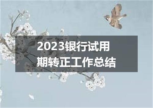 2023银行试用期转正工作总结