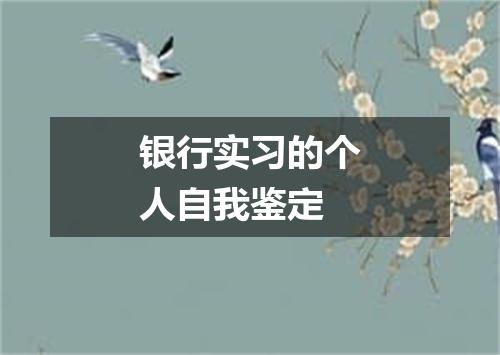 银行实习的个人自我鉴定