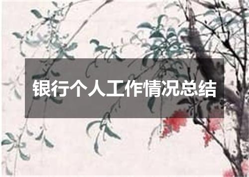银行个人工作情况总结